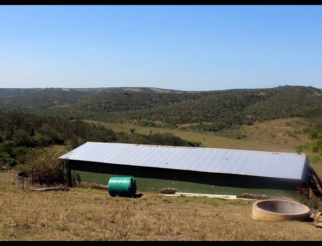 226HA FARM FOR SALE IN KOMGA RURAL